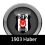 1903 Haber