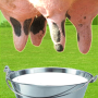 Fazenda leite a vaca icon