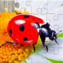 Insect Jigsaw Puzzle Game Kids