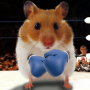 Hamster engraçado rachado tela icon
