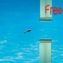 Flappy Little Dolphin