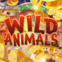 Wild Animals