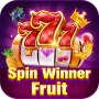 Spin Winner Fruit icon