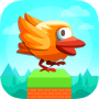 Crazy Bird Runner