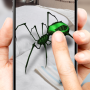 3D spider on a hand simulator prank game