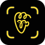 Avatarify Face Animator - animateur vidéo magique icon