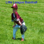 Little League Baseball