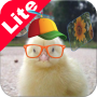 Sounds for kids - Lite icon