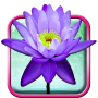 Лотос Live Wallpaper icon