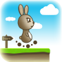 Hopping Rabbit