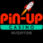 Pin Up : Aviator Game icon