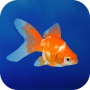 Goldfish 3D Relaxing Aquarium