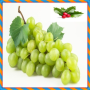 Green Fruits Onet Connect Game