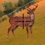 Deer hunter: African Safari Forest Hunting Sniper