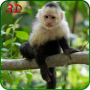 Monkey Simulator 3D